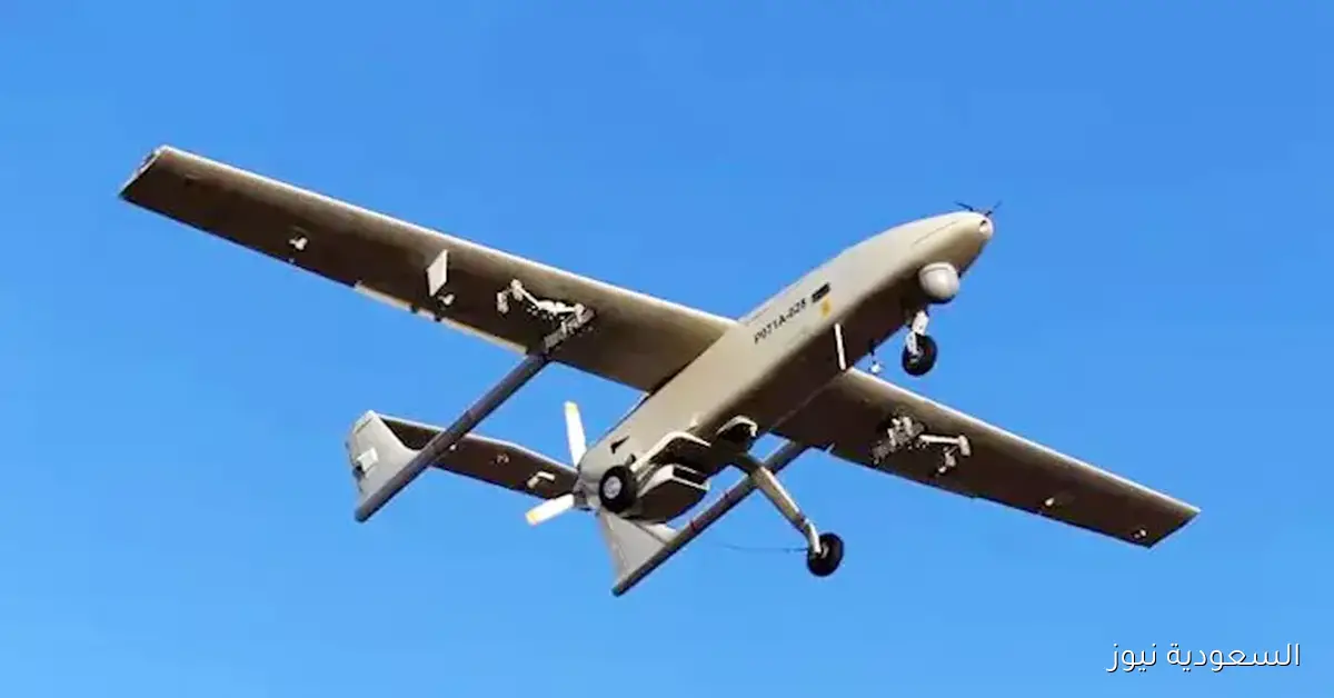 ألمانيا تشهد زيادة في المسيرات في بعض المناطق وارتفاع مستوى التهديد