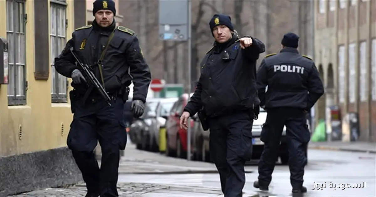 إعادة فتح مطاري كوبنهاجن وأوسلو بعد رصد مسيرات بالقرب منهما