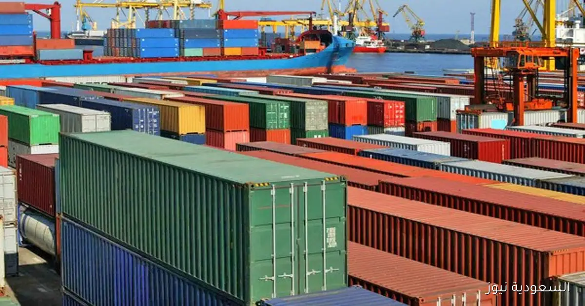 ارتفاع صادرات مصر إلى الإمارات بنسبة 141.2% من يناير إلى يوليو 2025