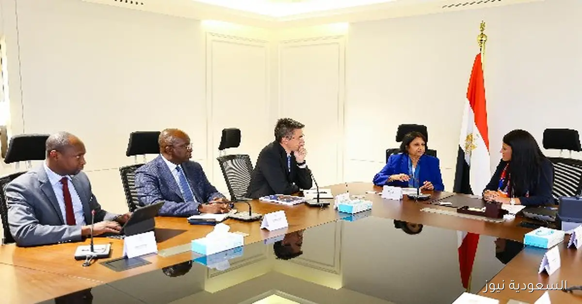 التخطيط يحدد سقف الاستثمارات العامة للعام المالي الجاري بـ 1.16 تريليون جنيه