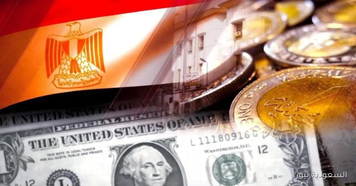 الحكومة المصرية تؤمن التزامات مالية تلبي احتياجاتها حتى يناير 2026 وفقًا لمركز القاهرة للدراسات الاقتصادية