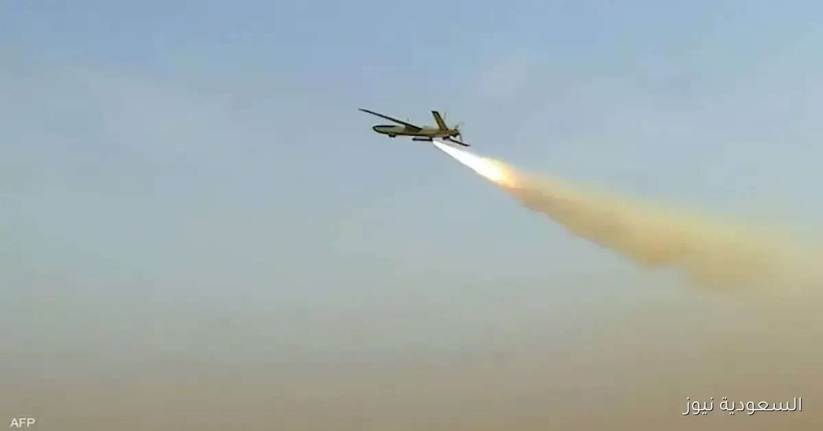 الحوثيون يعلنون عن تنفيذ عملية عسكرية في إسرائيل – فيديو