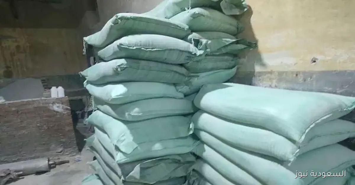 الداخلية تتصدى لمخالفات الخبز وتضبط أكثر من 7 أطنان من الدقيق المدعم في 24 ساعة