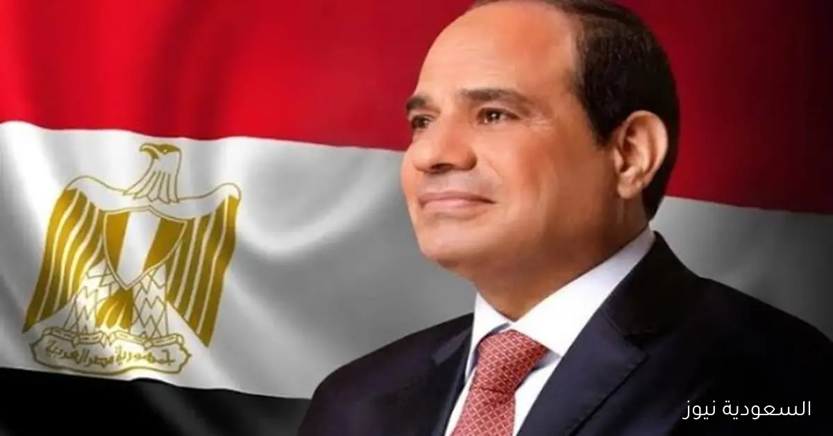 الرئيس السيسى يؤكد على استمرار سعر الصرف المرن.. نواب: خطوة مهمة تعزز ثقة المستثمرين