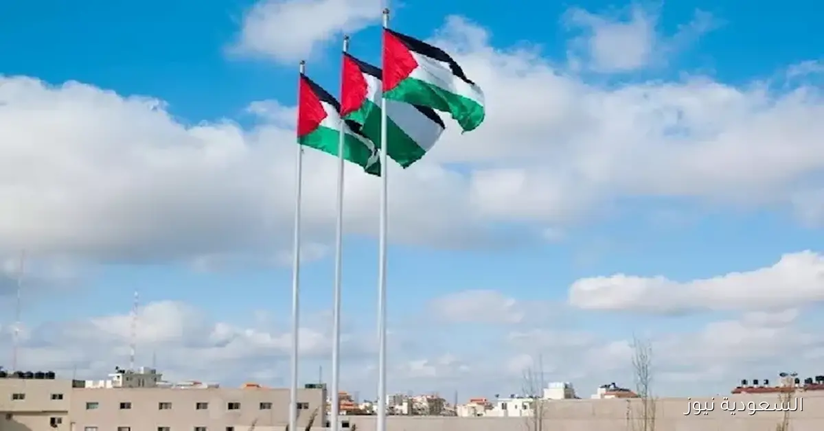 النص الكامل للبيان المشترك السعودي الفرنسي بعد انتهاء مؤتمر حل الدولتين