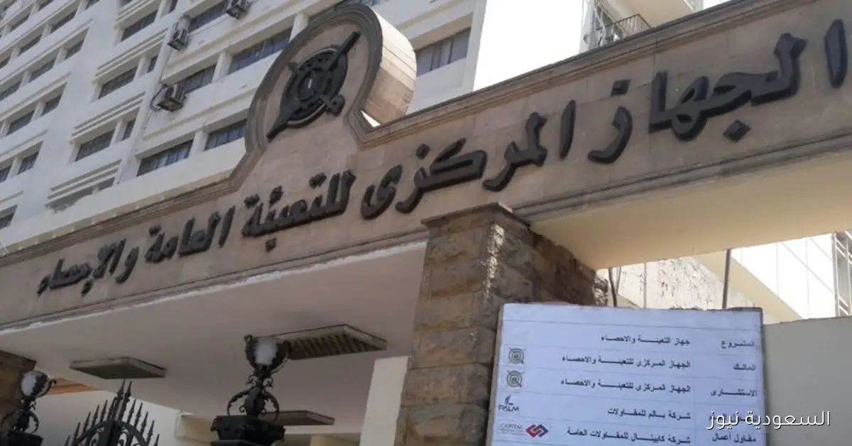 انخفاض عدد الموظفين الأجانب في الحكومة والقطاع العام بنسبة 20.9% في 2024