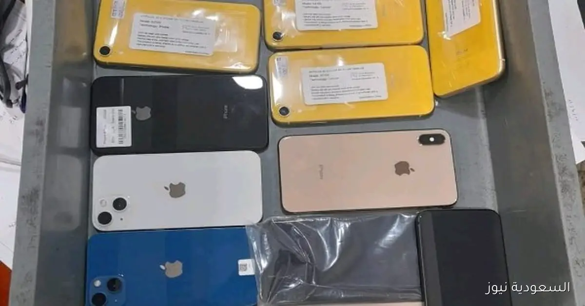 جمارك الإسكندرية تنجح في إحباط محاولة تهريب هواتف محمولة بقيمة 187.3 ألف جنيه