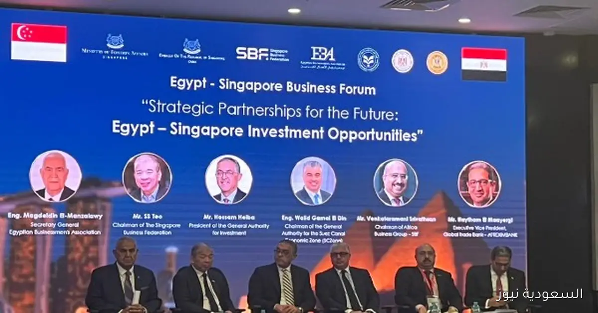 رجال الأعمال المصريون يؤكدون أن مصر وسنغافورة شريكان استراتيجيان لاستثمار الفرص الواعدة في مصر