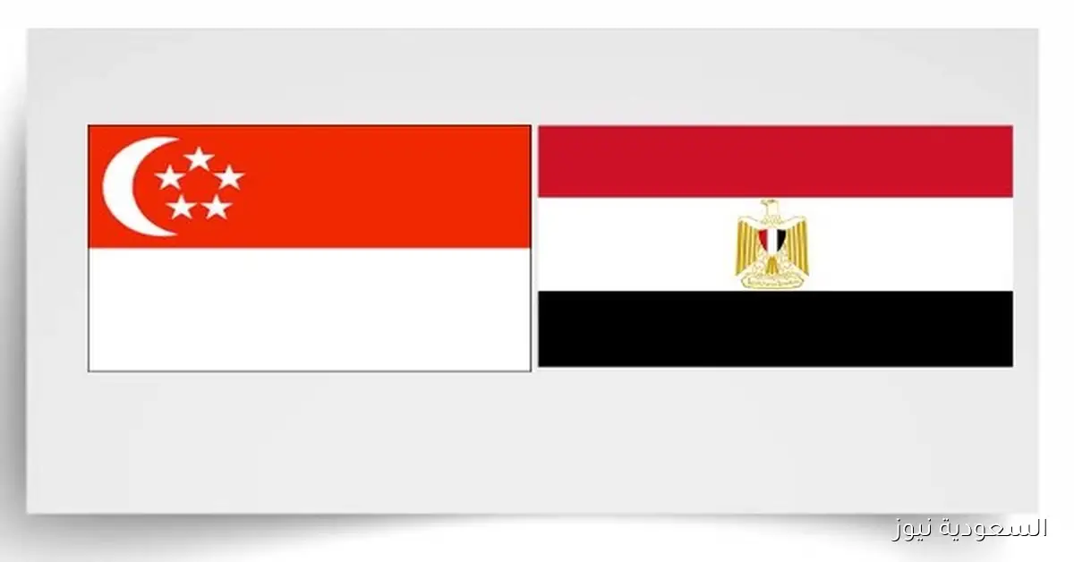 زيارة رئيس سنغافورة لمصر تعزز العلاقات الاقتصادية بشكل نوعي