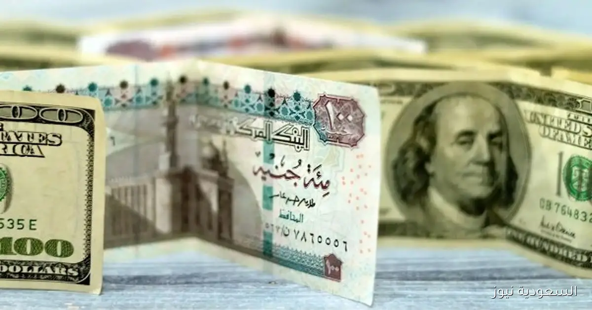 سعر الدولار في البنك المركزي المصري بتاريخ 16 سبتمبر 2025