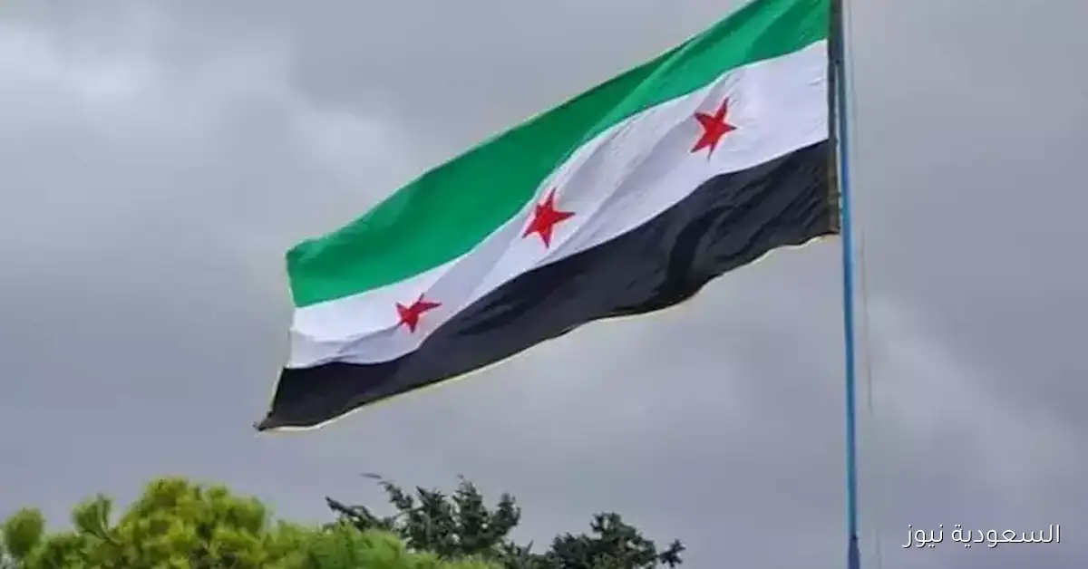 سوريا تحدد 5 أكتوبر المقبل موعدًا لانتخابات مجلس الشعب