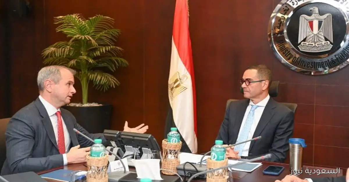 شركة عالمية تستعد لإطلاق مشاريع جديدة في الطاقة المتجددة بمصر