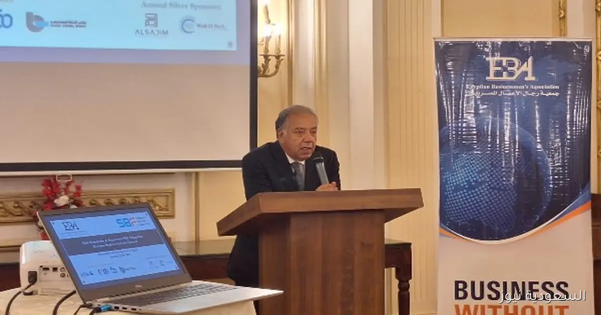 شريف الجبلي يتحدث عن إفريقيا المستقبل ودور شراكات مصر وسنغافورة في تحقيق نجاحات جديدة