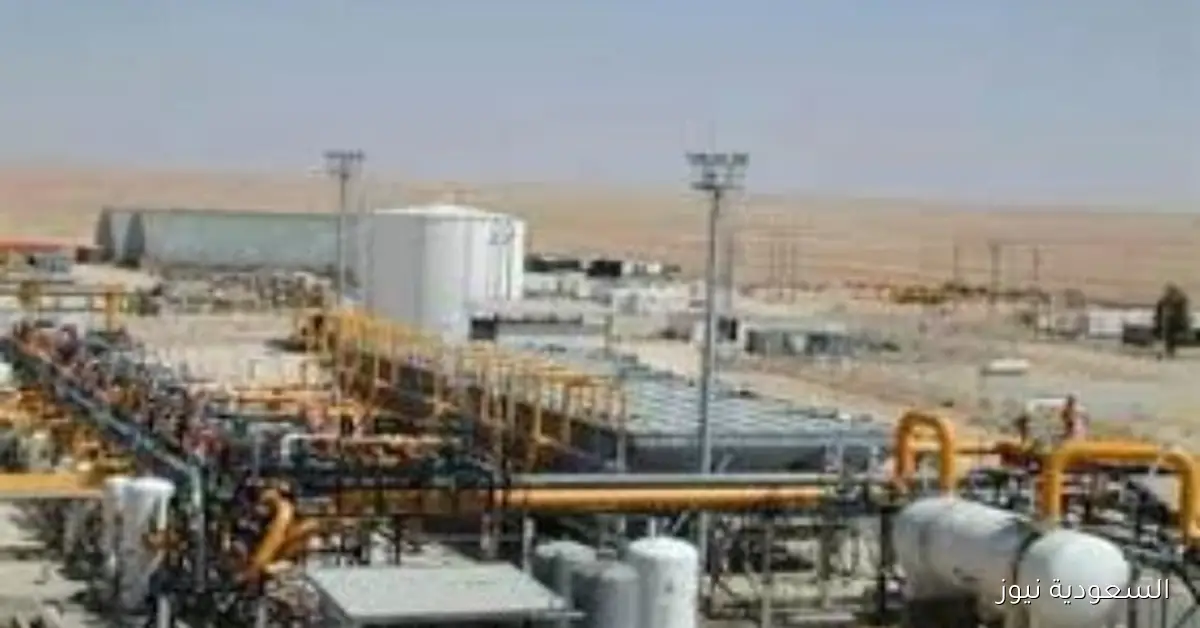 شعبة البترول تكشف عن طفرة غير مسبوقة في إنتاج الغاز بمصر