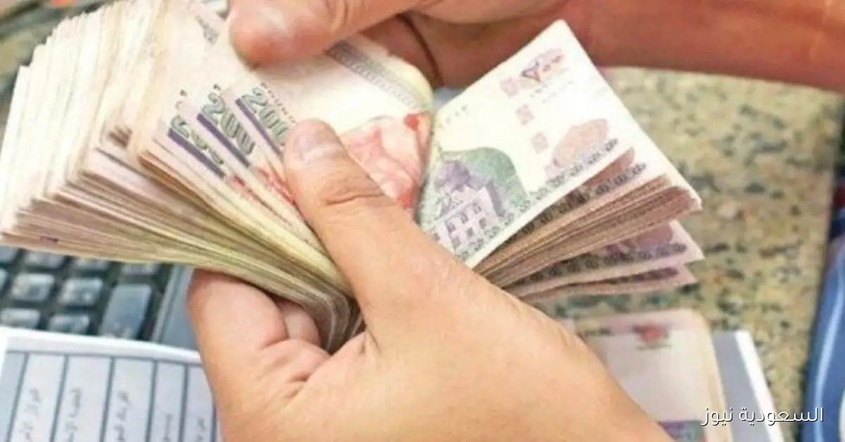 صرف المرتبات الشهرية للعاملين بالدولة مبكراً مع التفاصيل