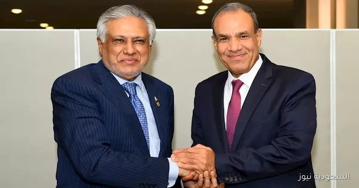 عبد العاطي ونظيره الباكستاني يؤكدان أهمية تعزيز التعاون في مختلف المجالات