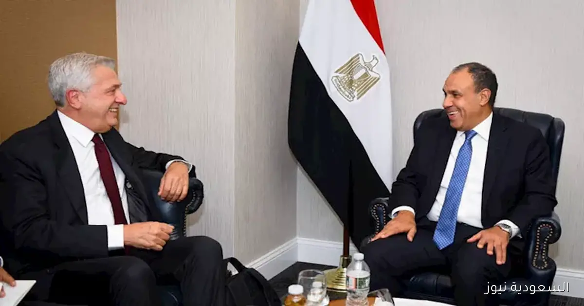 عبد العاطي يدعو لمساندة مصر في مواجهة تحديات اللاجئين