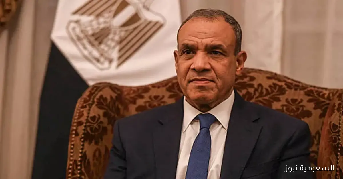 عبد العاطي يطالب الدول الأفريقية بالتصدي لتهجير الفلسطينيين من أراضيهم