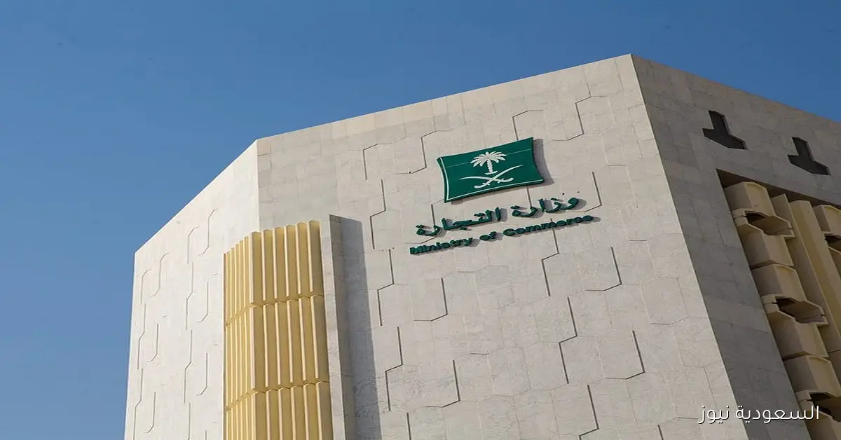 كيفية تأسيس شركة المساهمة المبسطة عبر منصة الأعمال من قبل التجارة