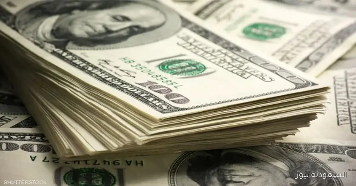 متوسط سعر الدولار مقابل الجنيه المصري اليوم