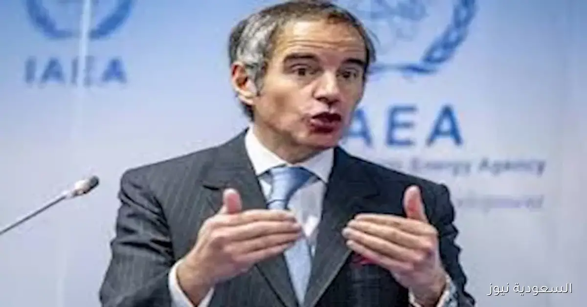 مدير الوكالة الذرية يعلن عن ترشحه لمنصب الأمين العام للأمم المتحدة