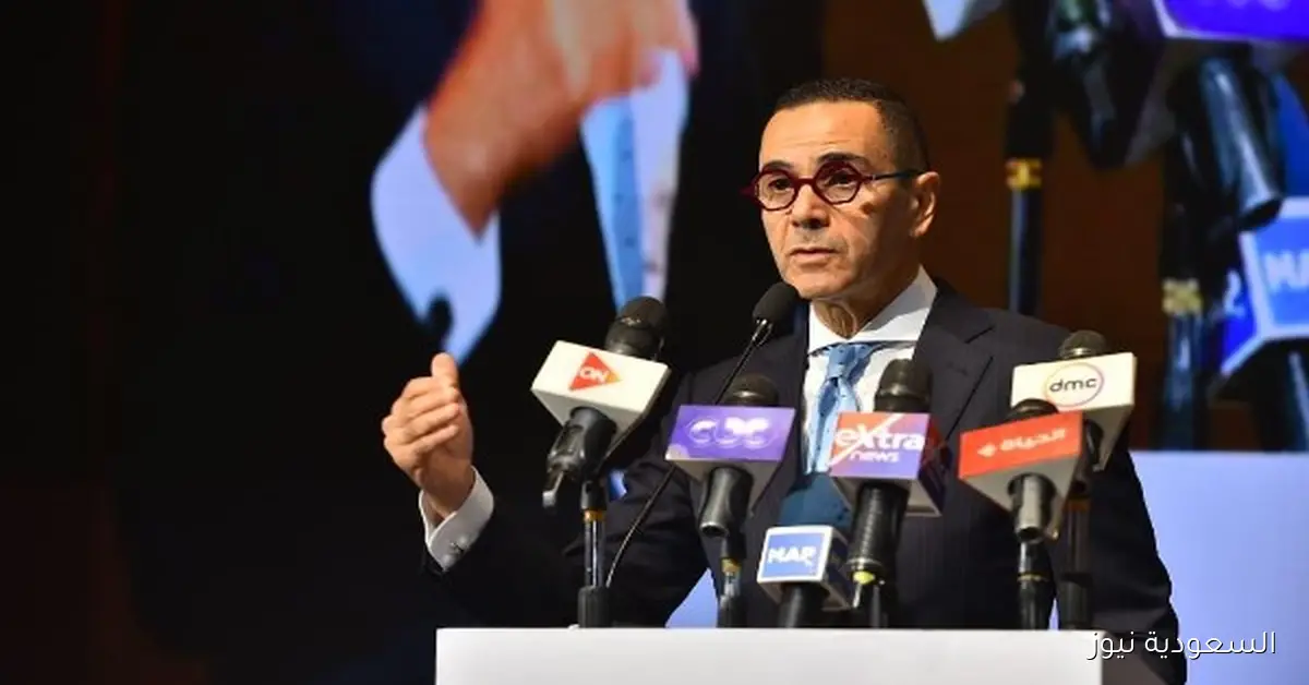 مصر تدعو الدول الأفريقية لإنهاء قواعد المنشأ العالقة لتعزيز التبادل التجاري