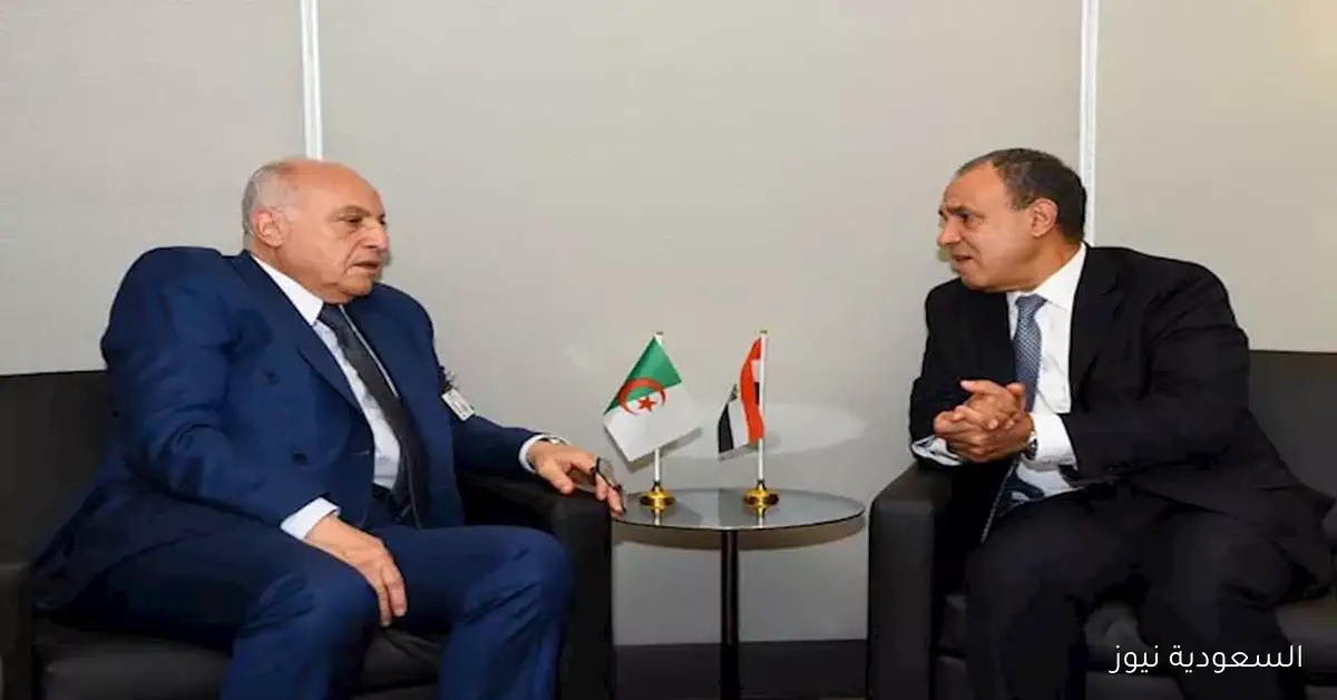 مصر والجزائر تؤكدان أهمية وقف العمليات العسكرية في غزة بشكل فوري وشامل