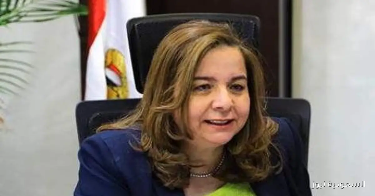 مي عبد الحميد تؤكد أن رقمنة الإجراءات في صندوق الإسكان الاجتماعي عززت الشفافية