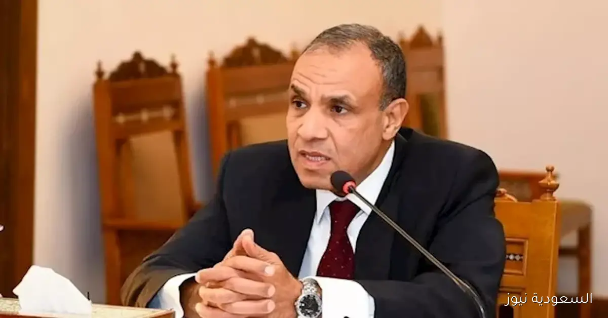 وزير الخارجية يدعو إلى تعزيز تمثيل القارة الأفريقية في مجلس الأمن