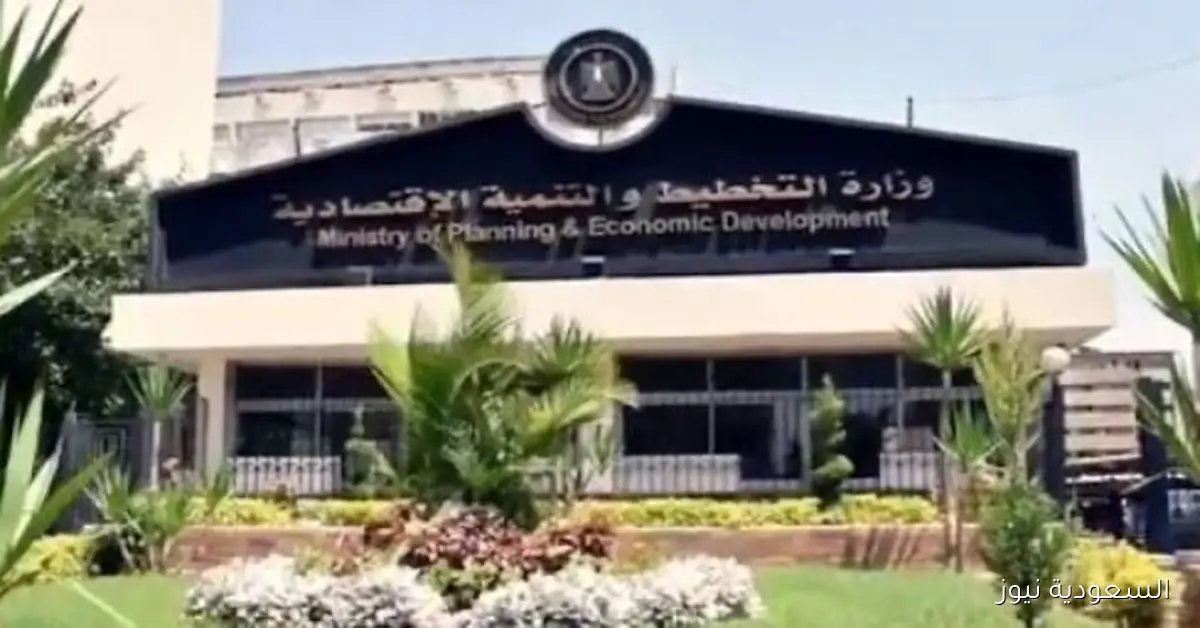 وزيرة التخطيط تؤكد أن الثقافة والفنون هما المحرك الرئيسي لتحقيق التنمية