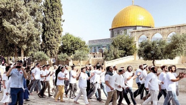 683 مستوطناً يقتحمون المسجد الأقصى ويقومون بطقوس تلمودية أمام قبة الصخرة