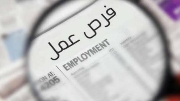 720 وظيفة شاغرة في سلسلة معروفة.. تعرف على التفاصيل الكاملة
