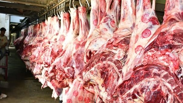أسعار اللحوم اليوم الثلاثاء 28 أكتوبر 2025 في الأسواق ومحلات الجزارة