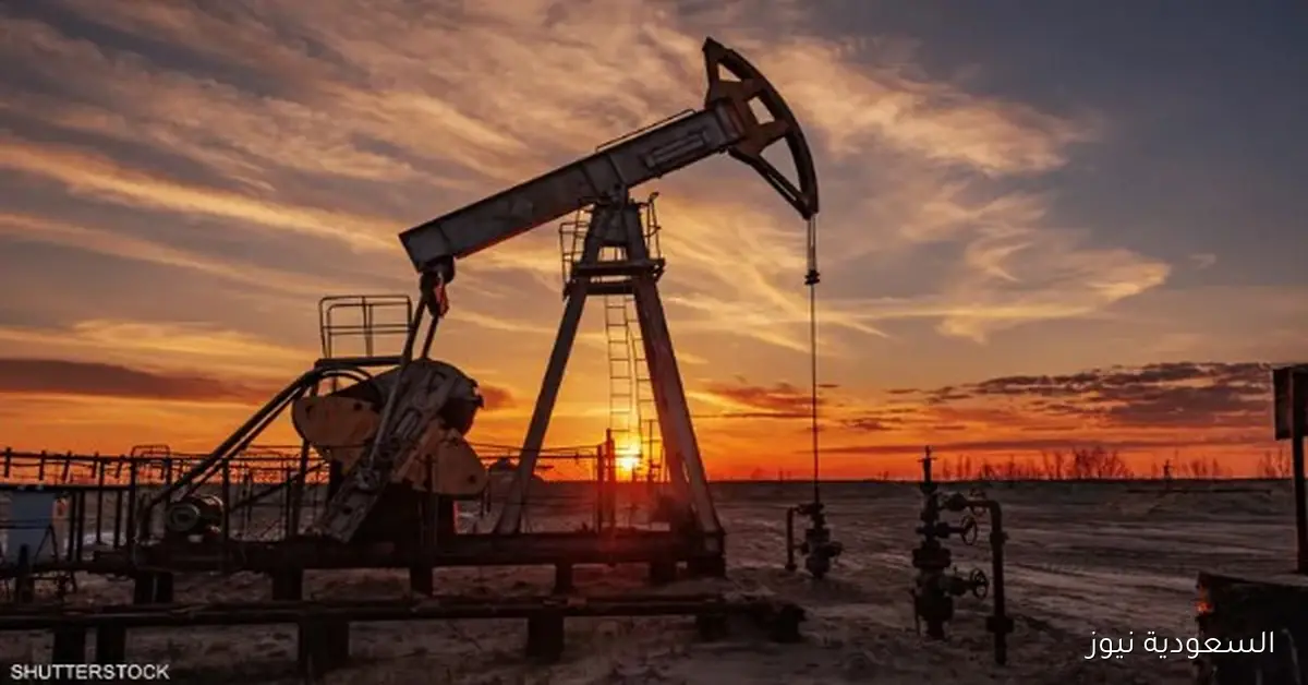 أوبك+ تزيد إنتاج النفط بمقدار 137 ألف برميل لتعزيز الإمدادات