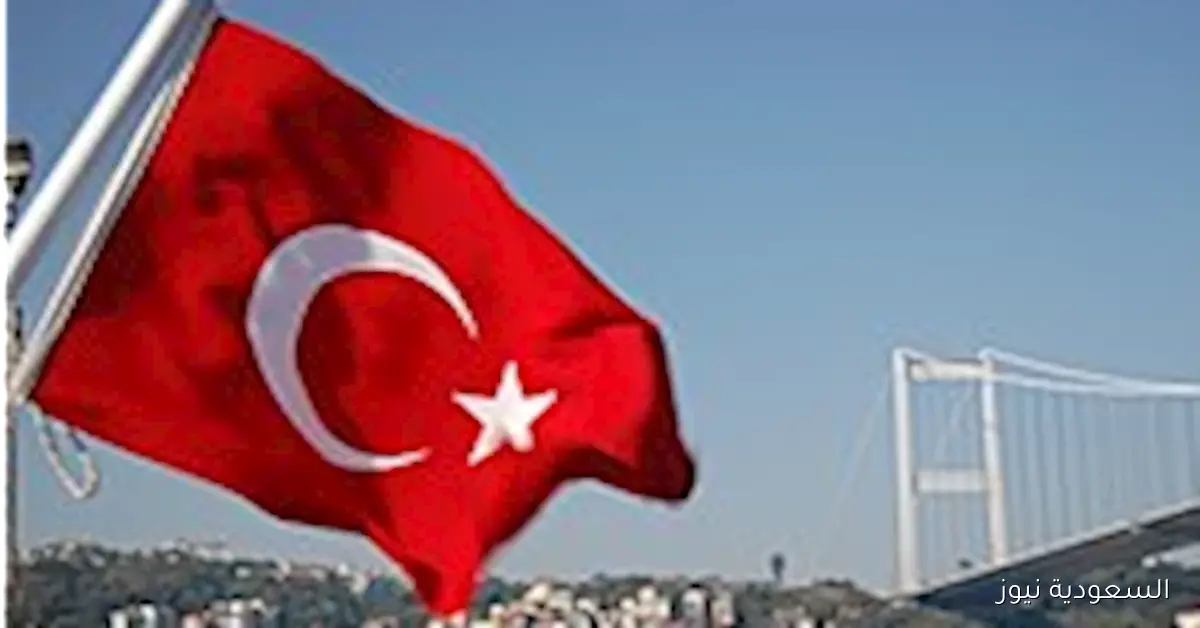 إسرائيل تعتقل 25 ناشطًا تركيًا في إطار أسطول الصمود العالمي