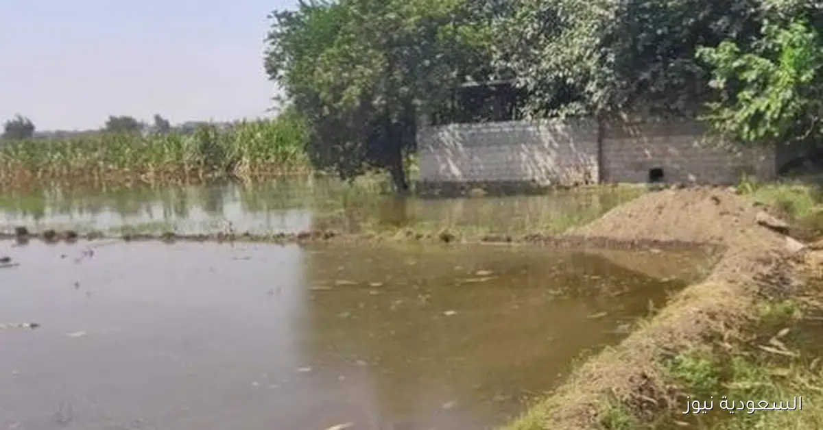 احتمالية غرق أراضي طرح النهر والتحذيرات العاجلة في الدلتا مع توضيحات خبير