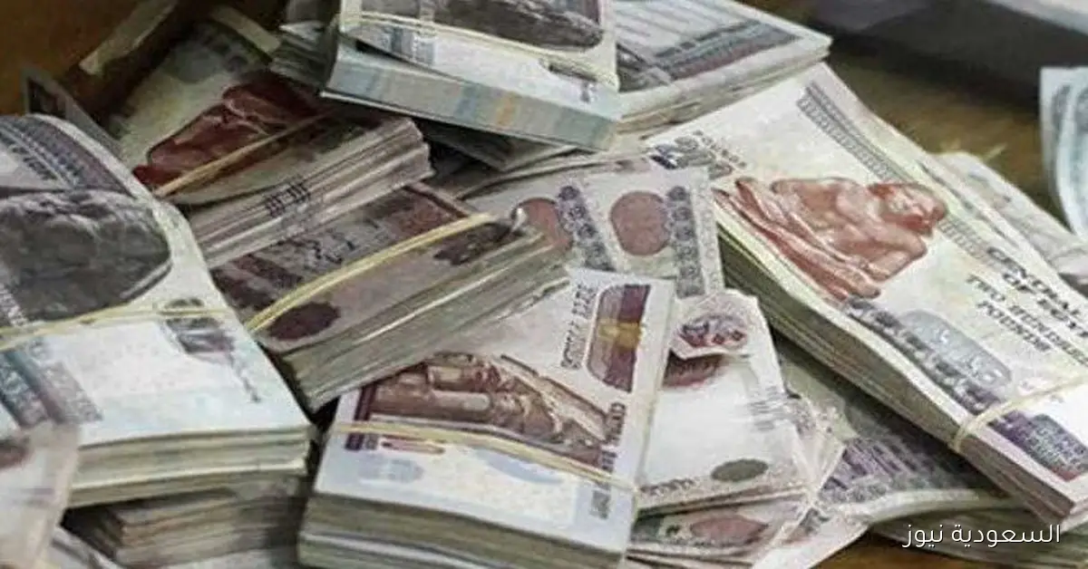 ارتفاع استثمارات صناديق التأمين الخاص في مصر إلى 14 مليار جنيه خلال 6 أشهر بنمو 4%