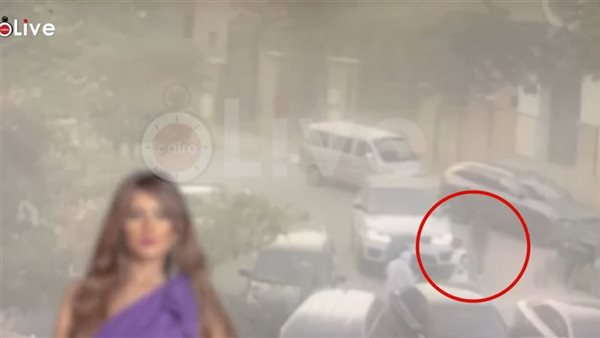 استدعاء رجل أعمال مجددًا في حادثة اعتداء كلب على نجلي الفنانة زينة بالشيخ زايد