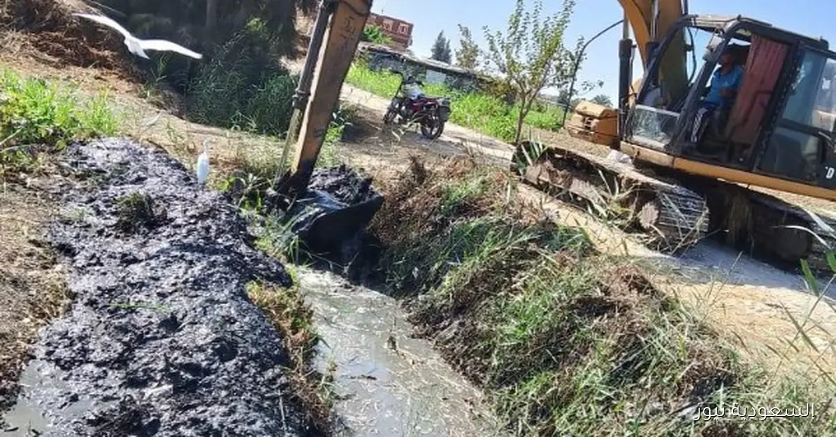 استصلاح الأراضي في سبتمبر: إزالة التعديات وتطهير 106 كم من المساقي والمصارف