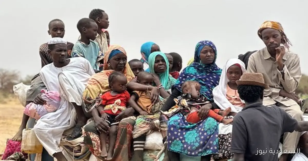 الأمم المتحدة تدعو مجددًا لوقف الحرب وتسهيل الوصول للمتضررين في الفاشر