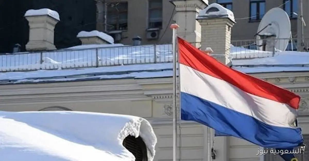 المحكمة العليا الهولندية تأمر بمراجعة تصدير الأسلحة إلى الاحتلال