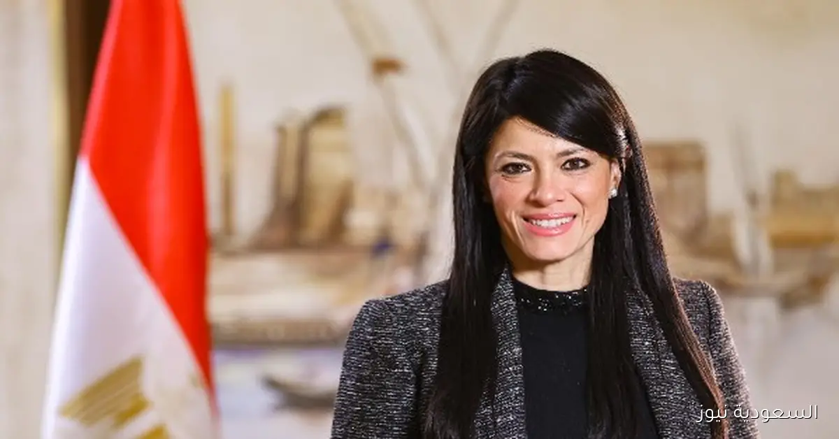 المشاط يؤكد وجود قوى بشرية هائلة ودعم فرنسي لمشروعاتنا ذات الأولوية