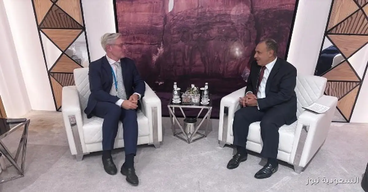 تعزيز العلاقات البرلمانية مع ألمانيا حسب تصريحات وزير الخارجية