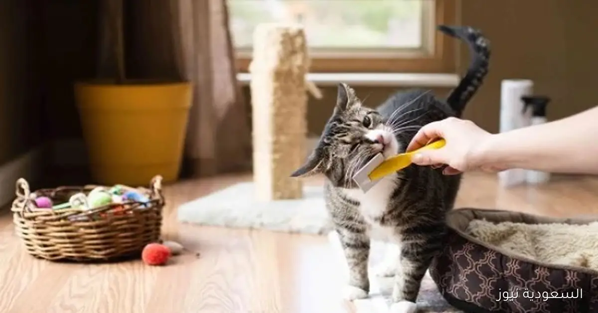 دعوة لنشر ثقافة الرحمة والتعايش السلمي مع الحيوانات من قبل البيطريين