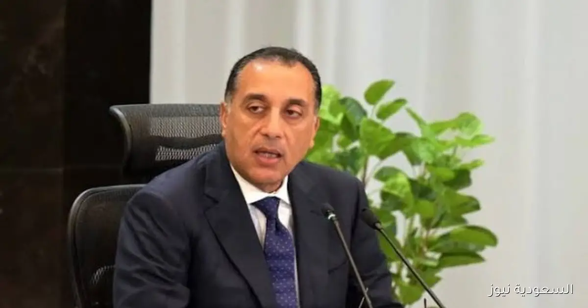 رئيس الوزراء يتابع تقدم مشروعات تطوير البنية التحتية وأنظمة التأمين في المطارات المصرية