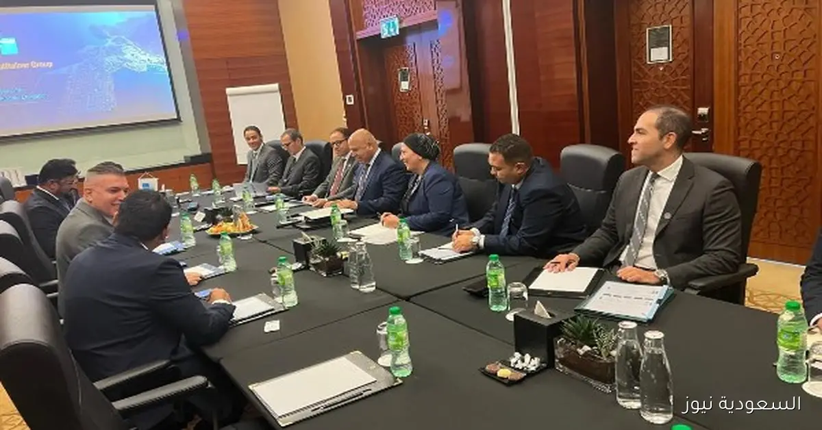 شركة إماراتية تخطط لاستثمار مليار دولار في إدارة محطات الحاويات بمصر