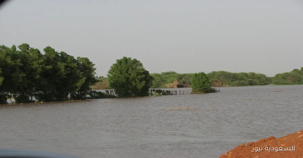 فيضان النيل يغمر منازل المنوفية والأهالي يستخدمون المراكب للتنقل
