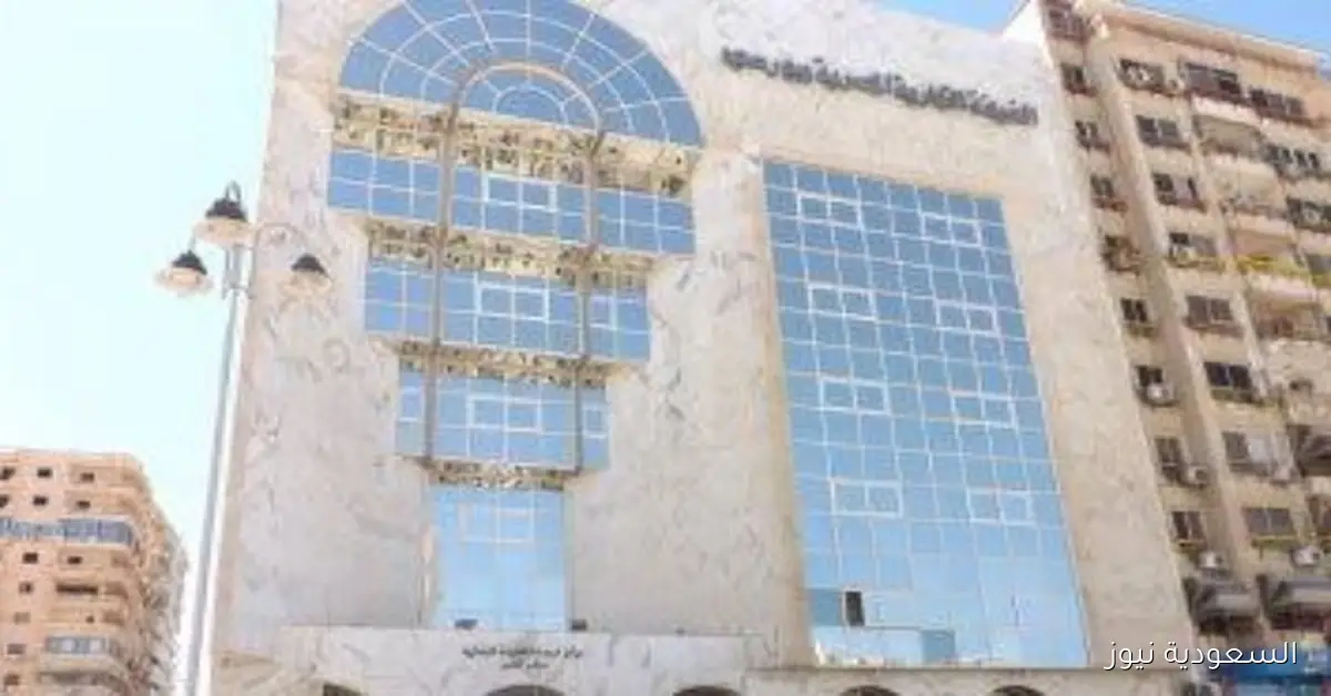 محمد سعده يوضح توقعاته بشأن قرار خفض الفائدة في ظل انخفاض معدلات التضخم