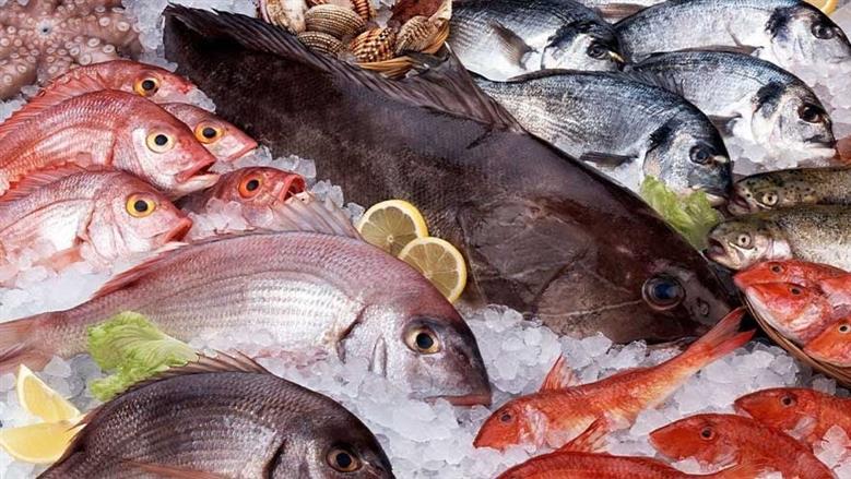 أسعار الأسماك اليوم الثلاثاء 18-11-2025 تشهد تراجع في أسعار الجمبري