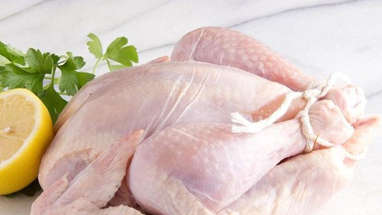 أسعار الدجاج الأبيض في بورصة الدواجن اليوم الجمعة 21-11-2025